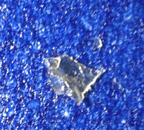 Non-biological Object (Likely glass shard, plastic fragment, or crystal)
