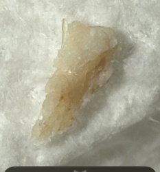 Not a bug (likely mineral/crystalline material)