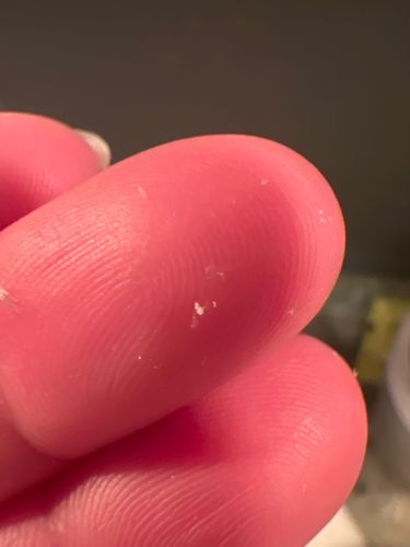 Mold Mites / Grain Mites