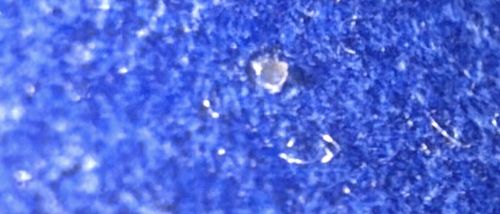 Unidentifiable Object/Debris (Not an Insect)