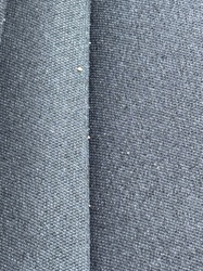 Carpet Beetle larvae (or similar dermestid beetle larvae)