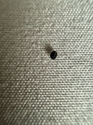 Too small/unclear to identify