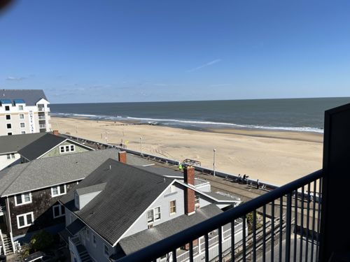 No insect or bug identifiable