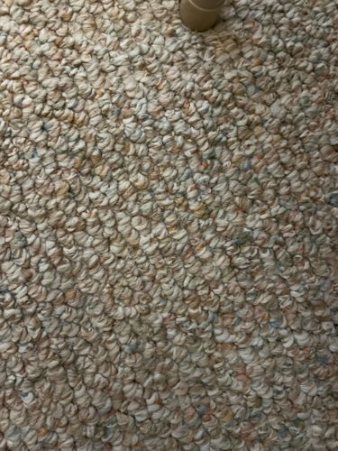 Unknown - no bug visible