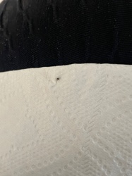 Leafhopper (likely a nymph)