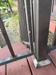 Orb Weaver Spider (likely a species of Araneus, such as Araneus diadematus or Araneus cavaticus, but specific identification is difficult from the image alone)