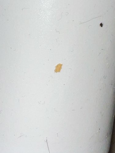 Unidentifiable Particle