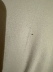 No identifiable insect