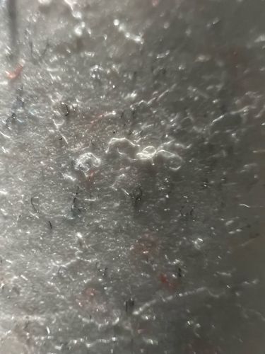 Inconclusive (Likely non-biological fibers or debris)