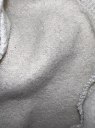 No insect/bug detected