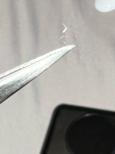 Unidentifiable Debris/Fiber