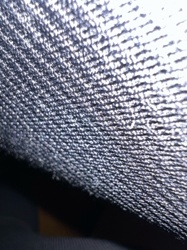 It is not possible to identify an insect from the provided images.