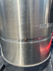 Confused Flour Beetle