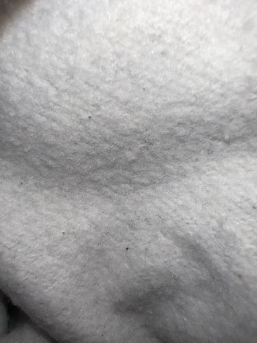 Too blurry to identify