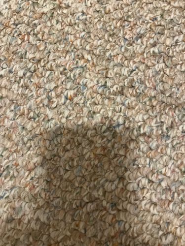 Unknown (No insect visible)