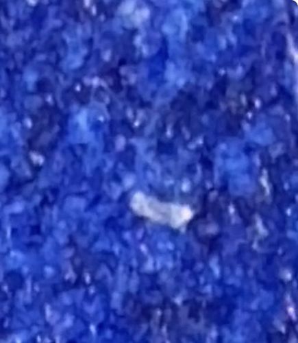 Unidentifiable due to image quality