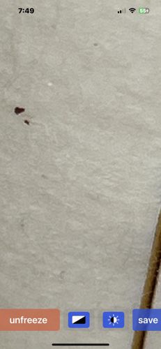 Too blurry to identify