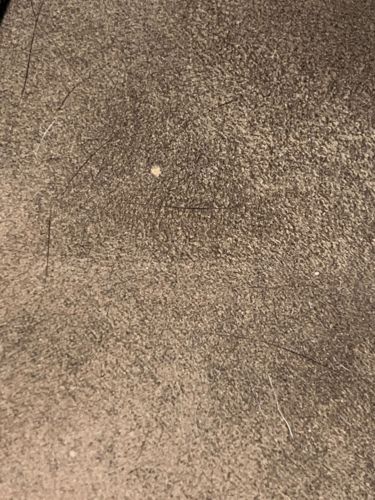 No insect or bug identifiable