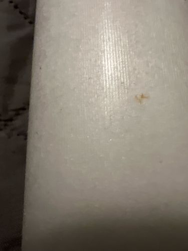 Unidentifiable stain/speck