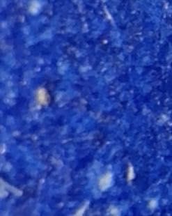 Mold Mite (or possibly a Dust Mite)