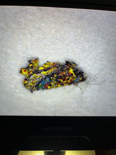 Not an insect/bug - likely paint or debris