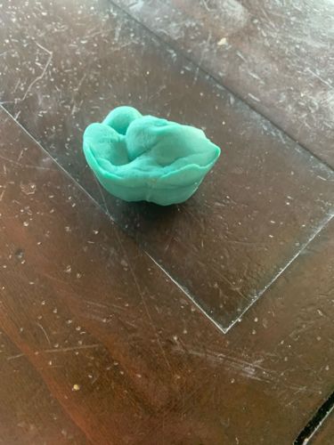 Not an insect or bug