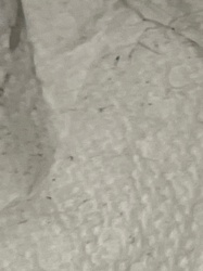 Too blurry to identify