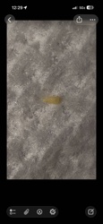 Fly Larva (Maggot)