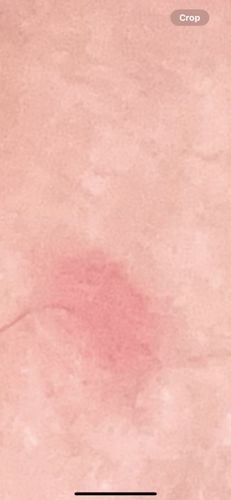 Unknown stain/smudge