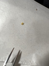 Unidentifiable Particle