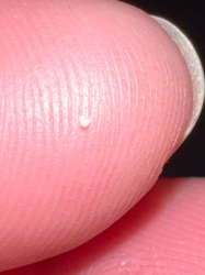 Unidentifiable Particle