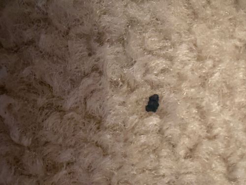 Unidentifiable Object