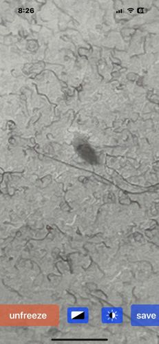 Unidentifiable Object