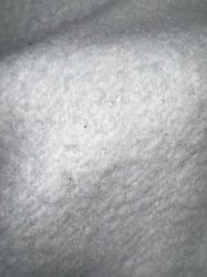 Unidentifiable Specimen