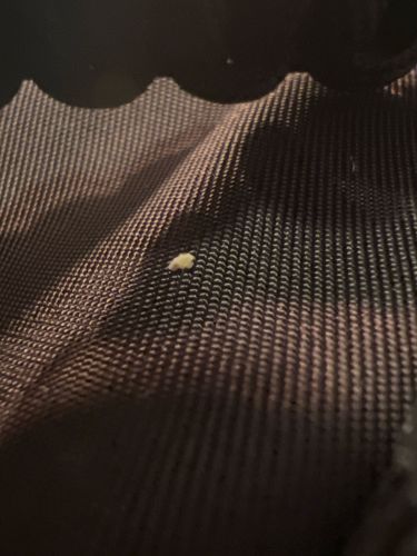 Unidentifiable Particle