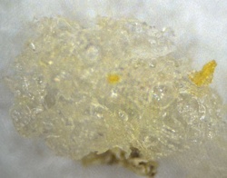 Unidentifiable substance (not an insect)