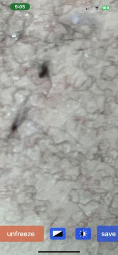 Image quality is too poor to identify