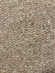 Not identifiable from image