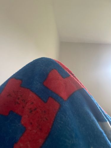 Not identifiable from image