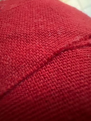 No insect or bug identifiable