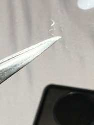 Unidentifiable Debris/Fiber