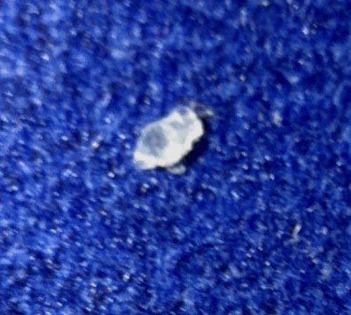 Unknown / Unidentifiable Debris