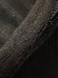 Undetermined (Image quality insufficient for identification)