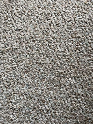 Not identifiable (no insect visible)