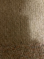 Unidentifiable organism