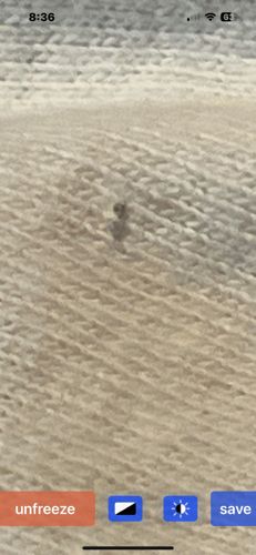 Unable to identify from the provided image