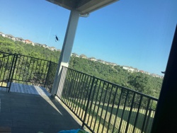 Wasp (could be a type of Sphecid wasp or similarly shaped wasp)