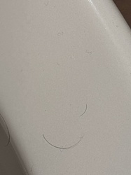 This is not an insect or a bug