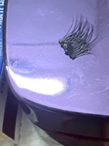 False Eyelash Fragment