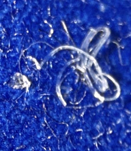 Inanimate Fiber (likely synthetic fabric)